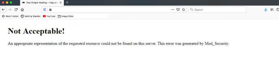 Not Acceptable! This Error was Generated by Mod_Security, Issues logging into WordPress with Ezoic