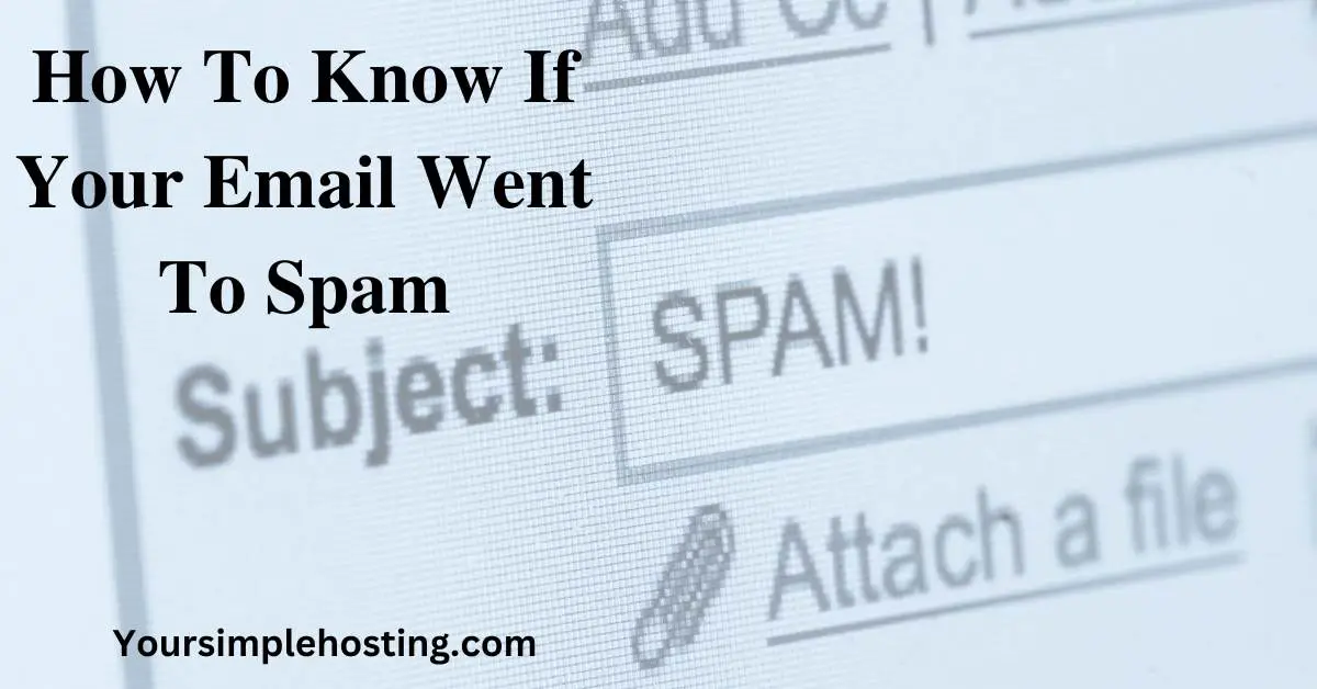 How To Know If Your Email Went To Spam