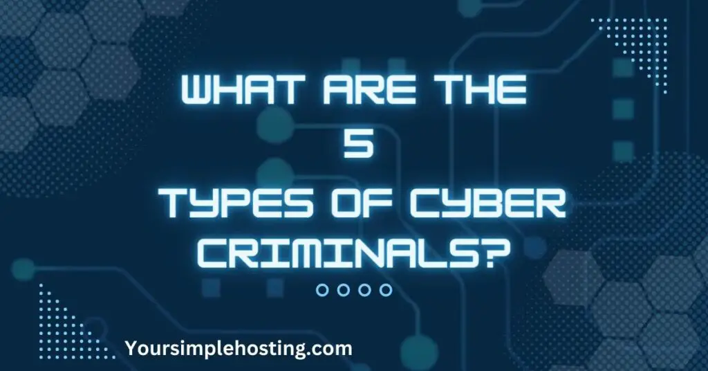 What Are The 5 Types Of Cyber Criminals