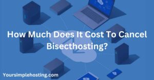 How To Cancel Bisecthosting - Your Simple Hosting